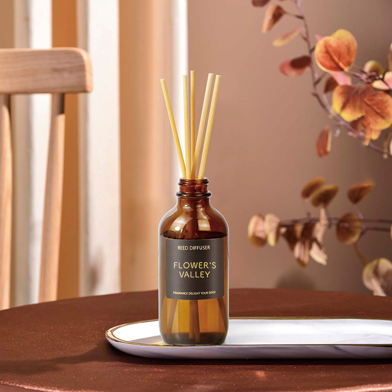 Japanese-style minimalist flameless diffuser | 100ml long-lasting air freshener | cross-border bestseller