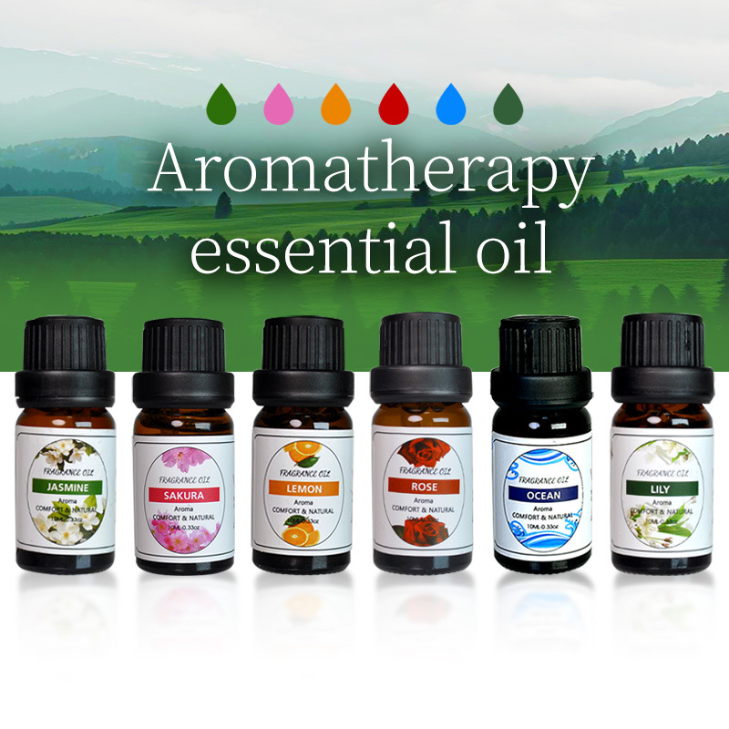 Essential Oil | Wholesale Single Bottle | Custom Scents | Water-Based | Bathroom Decor